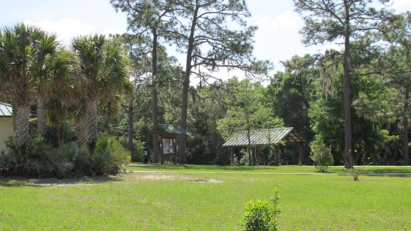 Campground View